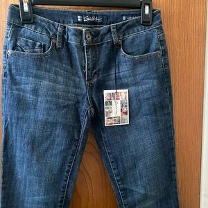 NWT Salt Works Loisaida St Bootcut Jeans